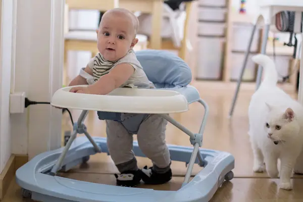 جایگزین های ایمن واکر